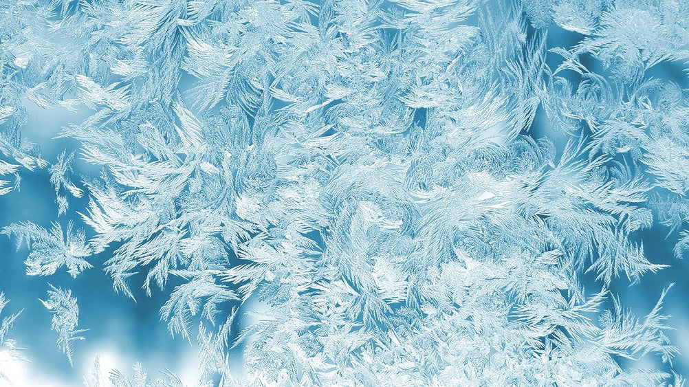 Winter Skin Prep: Our Top 5 Tips