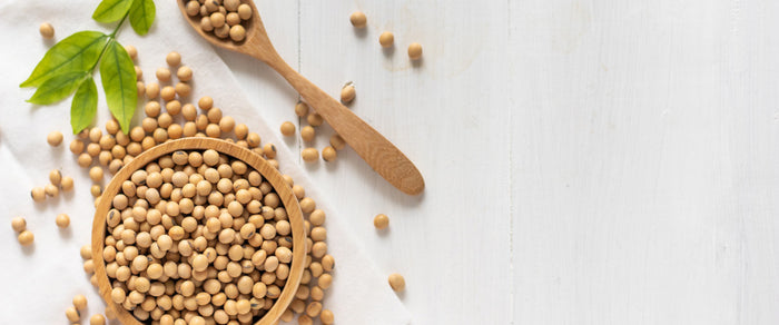 Collagen peptides: What is ProCol1+ and how does it work?